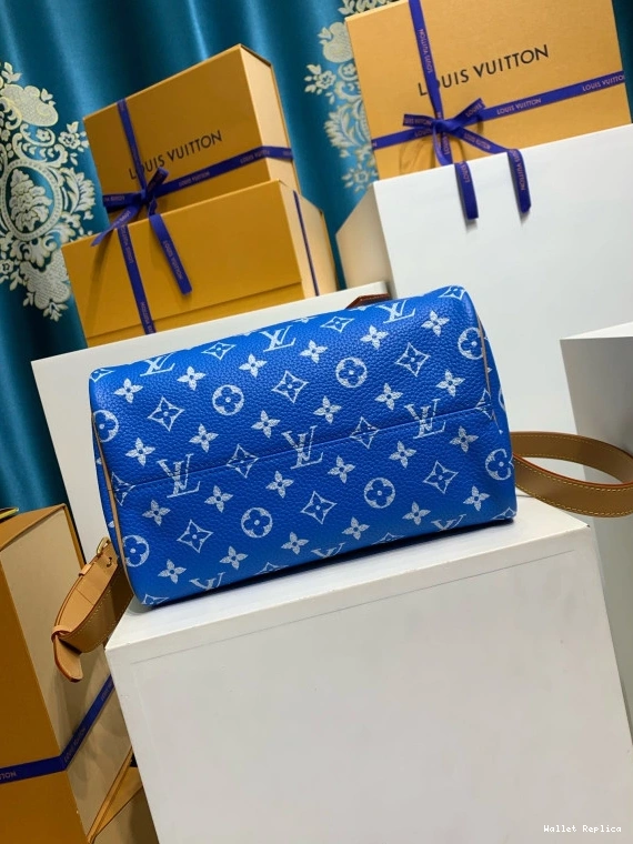 Affordable Vuitton 25 SPEEDY Louis 0810